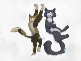 Cats in the snow